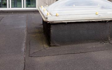 disadvantages of Hill Houses flat roofs